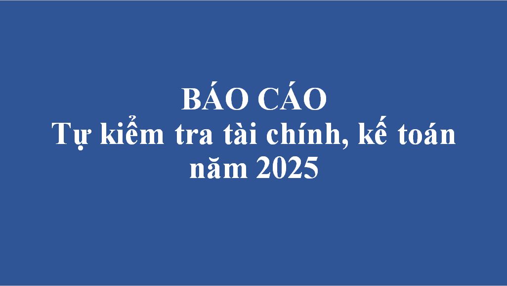 Báo cáo tự kiểm tra tài chính, kế toán năm 2025